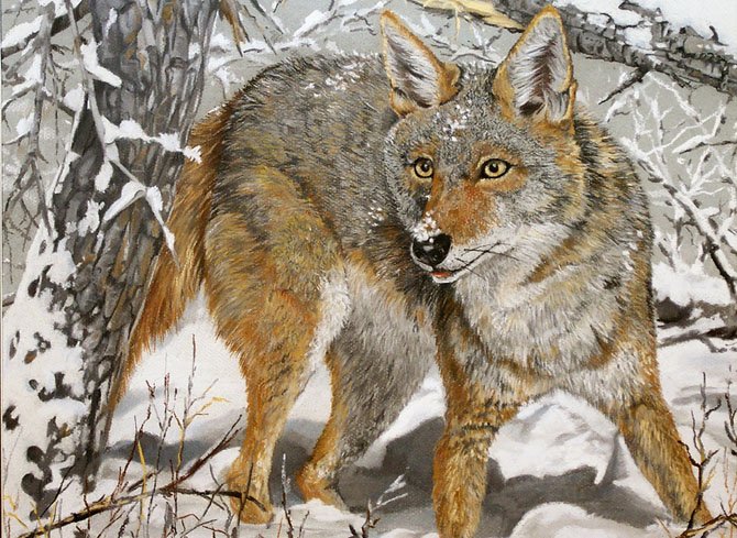 A pastel drawing by Benjamin Cheshire, "Winter Scent" is typical of the creative work in the "Cold" Exhibition.