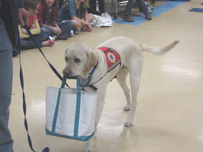 Spencer carries the shopping bag.