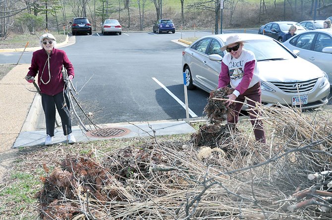 From left, Reston Garden Club members Nancy Davis and Barbara Pelzner clean up brush and other landscape debris outside the Reston Library Wednesday, March 7. 