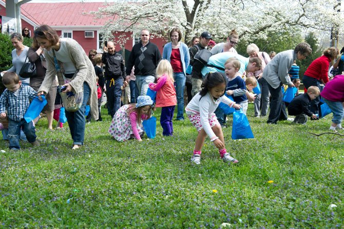 It took these toddlers and preschoolers seven minutes to clear a large field of hundreds of eggs at the town of Clifton’s annual Easter Egg Hunt on March 31.

