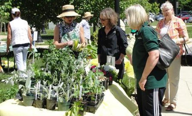 Shoppers can choose from a wide range of plants and shrubs at reasonable prices offered at the Great Falls Garden Club annual plant sale.