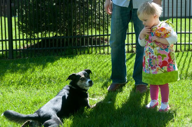 Hey, Lander, aren't you supposed to be running around like the rest of the dogs? asks two-year old Mollie Merchak.