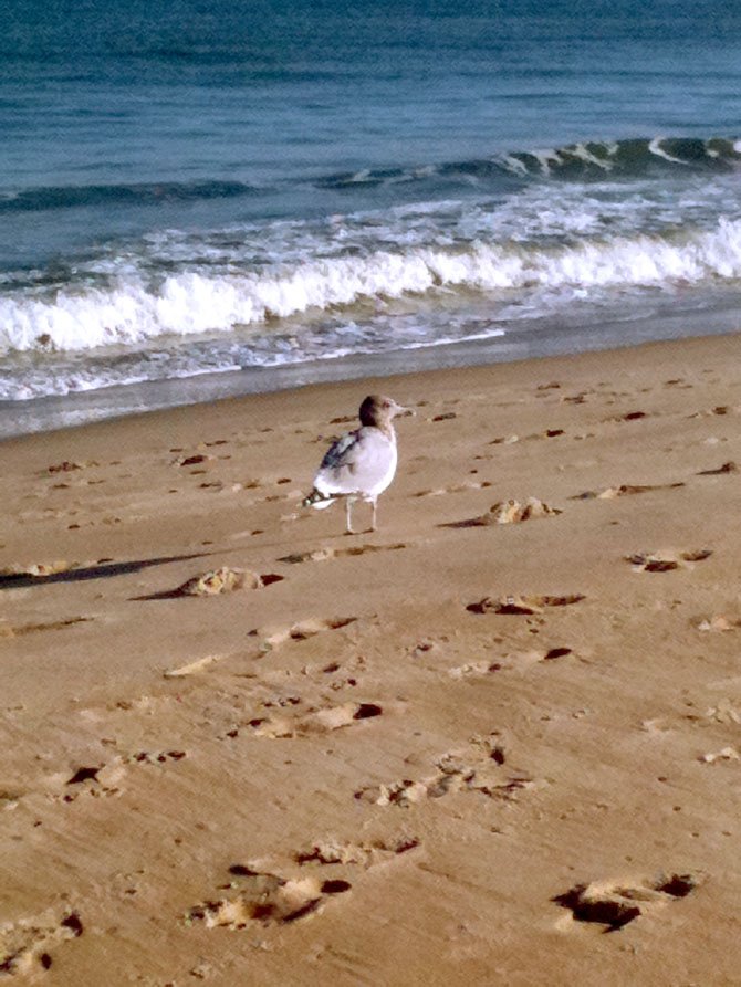 A memory book should focus on a special moment, like a trip to the beach, and include the perspectives of everyone in the family.

 