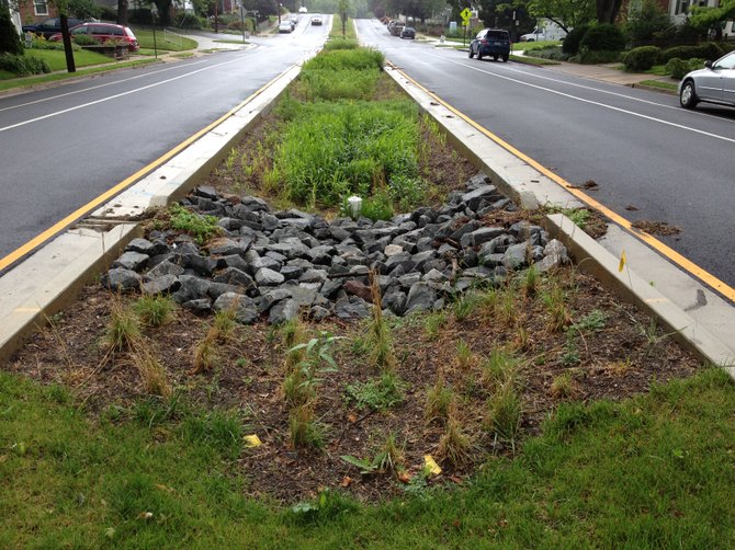 This bioretention area is the first of many to be installed across Arlington County.