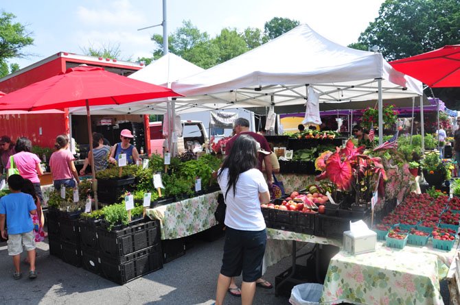 Guests at the Reston Farmer’s Market browse fresh fruits and vegetables at the Chelsey Vegetable Farms stand Saturday, May 26. 