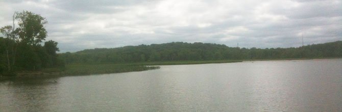 The freshwater marshes of Broad Creek directly across the River from Dyke Marsh.