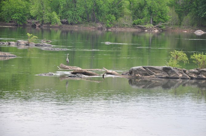 Riverbend Park, with extensive plant and wildlife resources, will host many activities for all ages and interests this summer.