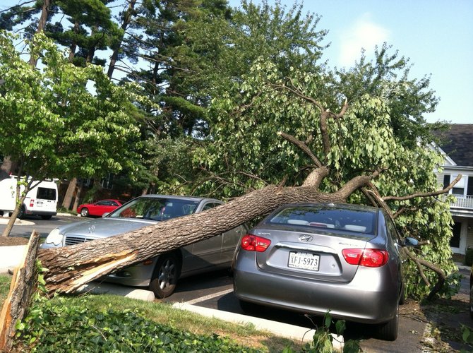 Parked cars crushed by trees in Oakton, Va.