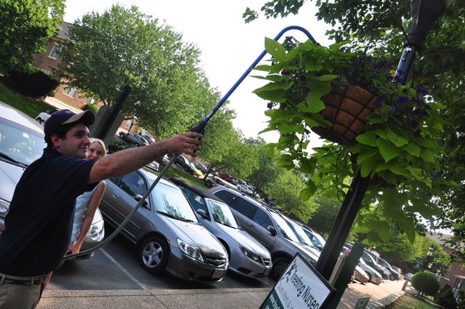 George Benza of SGB Land Management waters one of the 50 flower baskets that have been placed
around businesses in and around the Great Falls Village Centre.