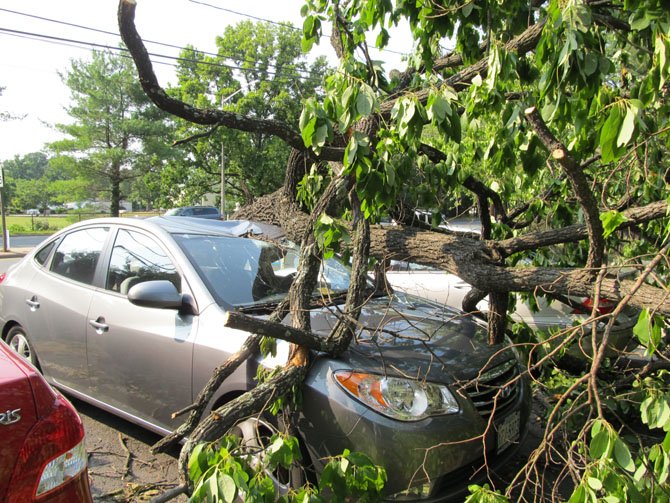 Two cars parked in a townhouse development on Route 123 in Oakton were smashed by a tree uprooted by high winds and lightening during a wave of violent storms that struck the area Friday, June 29.