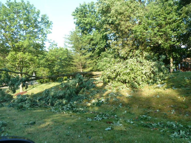 Fallen trees along Oaklyn Drive in Potomac.