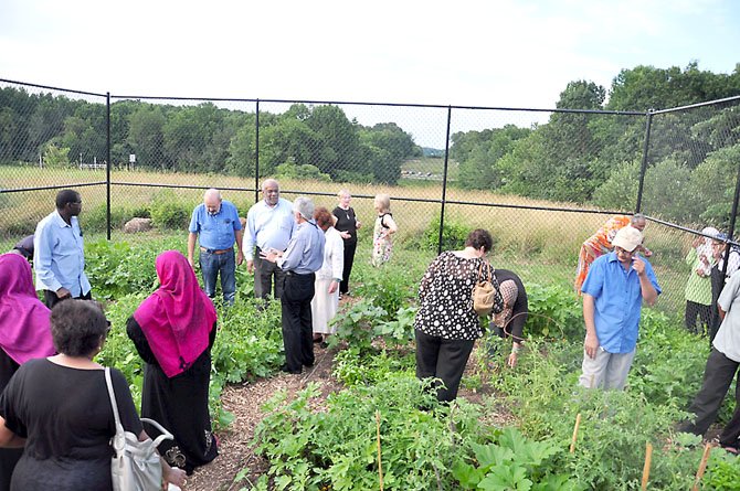 Gardeners show off the newest community garden plot on Reston, at the Cedar Ridge Apartments, Wednesday, July 11. 