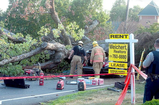Fire and Rescue Personnel examine a car that was crushed by a fallen tree Tuesday, July 17, killing the driver inside, Albert Carl Roeth III. 