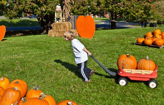 Oliver Bush, 7, pulls a wagon full of pumpkins at last year’s pumpkin sale at St. Thomas Episcopal Church. This year’s will begin Oct. 6. 