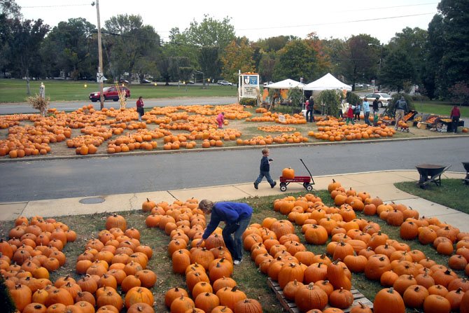 The 19th Annual Pumpkin Sale at Immanuel Church-on-the-Hill, 3606 Seminary Road raises funds Oct. 7-31, 10 a.m.-8 p.m. daily, to benefit many of Alexandria's charities such as ALIVE, Carpenter's Shelter, Community Lodgings, and the Northern Virginia AIDS Ministry (NOVAM). International charities include the Heifer Project and the Haiti Micah Project. The pumpkins are grown on the Navajo Indian Reservation in New Mexico and are distributed and consigned to Immanuel and over 1,300 other churches of various denominations throughout the country.  These partnerships support over 300 jobs on the reservation and the programs of participating churches nationwide. Autumn crafts and cookies, brownies, cake, candy, hearty soups, gourds, mini pumpkins, apple crisps, Indian corn and cornstalks are also available. 
