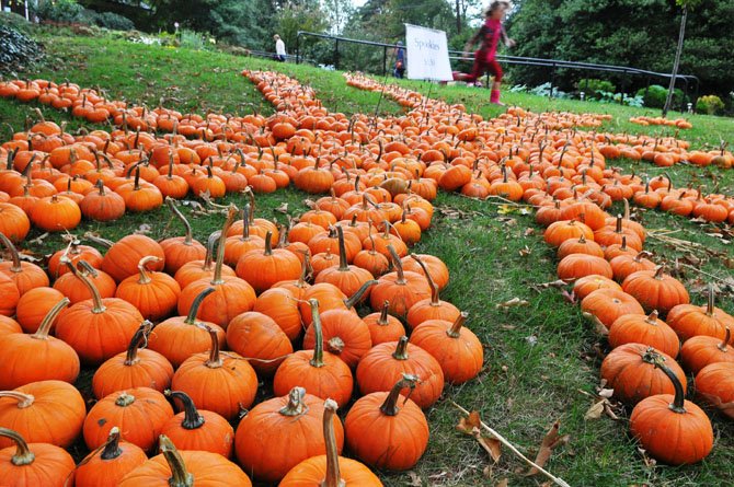 The “little spookies” priced at $1.50 create an image of a giant spider descending down the hill by the church.

