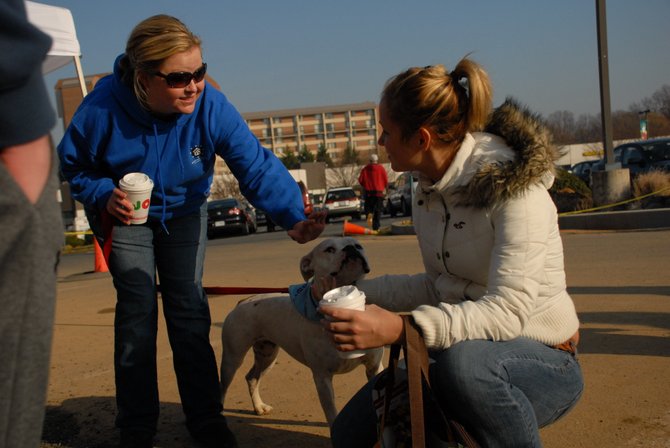 Operation Paws for Homes, a pet rescue group, was on hand all-day for pet adoptions. Jen Maki, director of Operation Paws, talks with a prospective pet owner at the Unleashed by Petco grand opening.