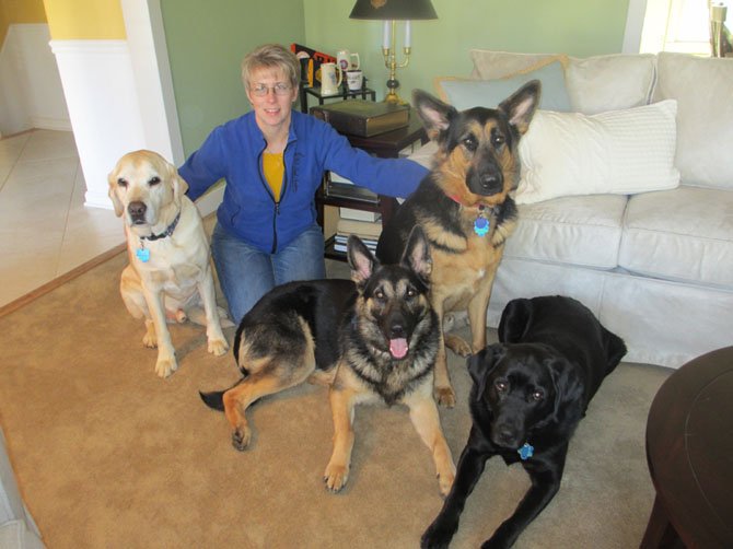 Veterans Moving Forward Inc. puppy-training Coordinator Michele Khol with four of her Guiding Eyes for the Blind fostered dogs.