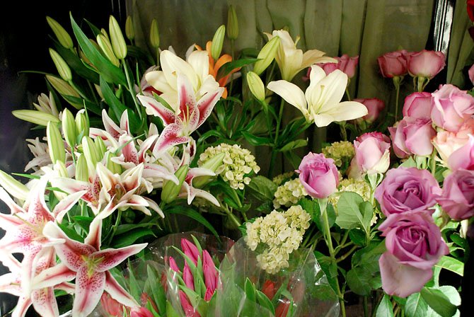 Stargazer lilies are a colorful complement to more traditional roses as an option on Valentine’s Day.