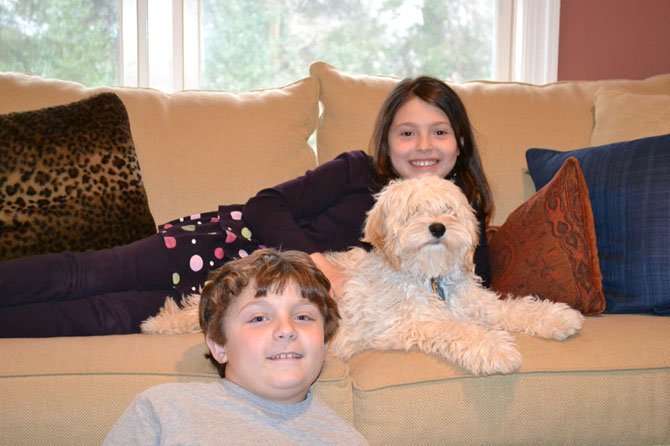 Alex and Christopher Roberts with their cockapoo, Duffy.