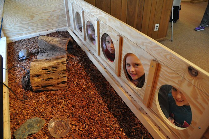 Visitors to the Nature Center at Riverbend Park examine the new turtle habitat Saturday, April 6. 