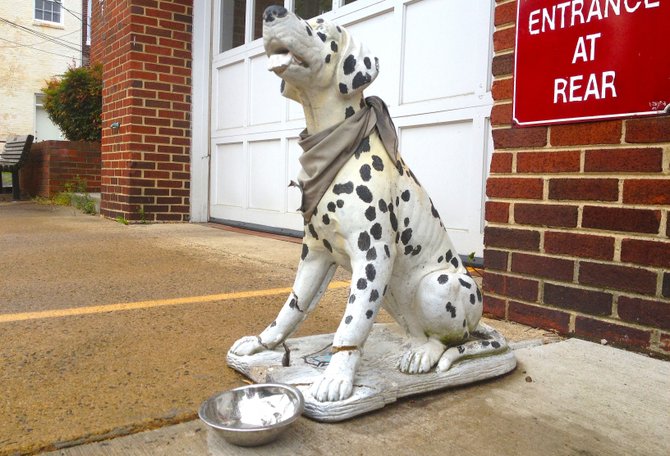 This antique Dalmatian statue on Cameron Street survived. The one on Prince Street was not so lucky.