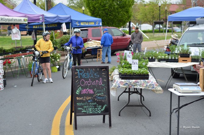 Vendors set up tables and stands along Station Street in the Town of Herndon for the Thursday farmers market.