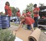 Patricia Daigle lays out the corkboard for the ...