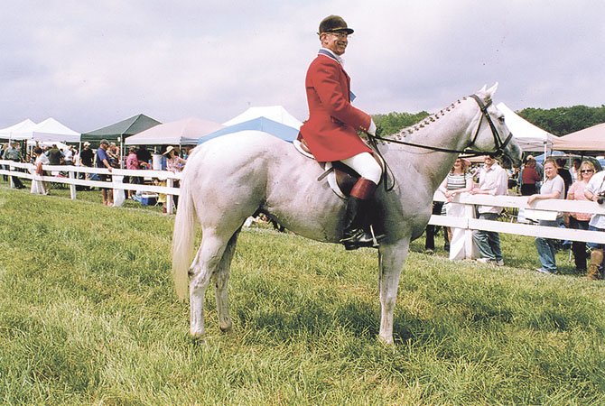 Dick Hagen, honorary whipper-in for Potomac Hunt, and his horse, “Hawaii,” were the heroes of the day at the 61st running of the Potomac Hunt races.

