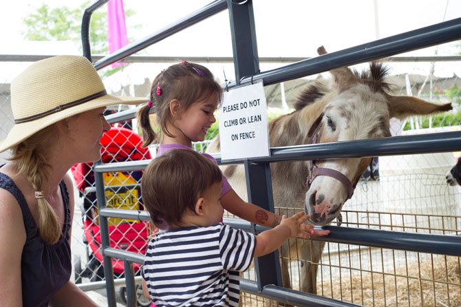 Emma and Jack Carey with mom Tara Carey, of Centreville, meet one of the donkeys at the petting zoo at the three-day 2013 Celebrate Fairfax Festival on June 9.