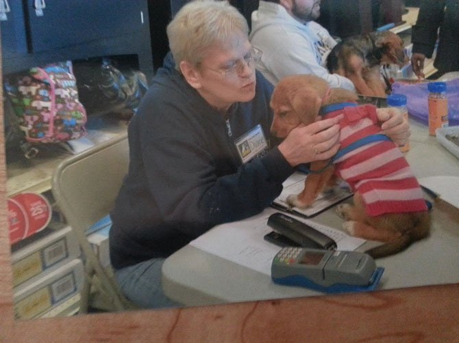 Diane McIntosh, a volunteer with the Lost Dog and Cat Rescue Foundation, sometimes holds on to puppies too young to play with the other dogs during adoption events. 