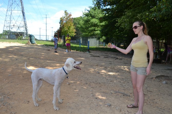 Katie Elie of Lorton gets ready to launch a tennis ball for Thor to retrieve at the South Run Dog Park. 