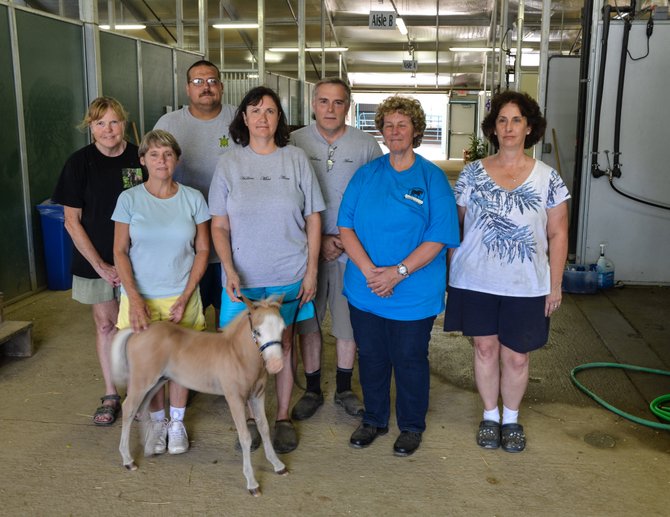 The club officers of the Old Dominion Miniature Horse Club at Frying Pan Farm Park in Herndon.