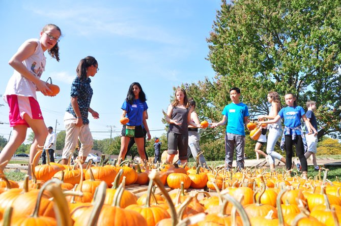 Volunteers sort pumpkins for the annual pumpkin patch at St. Thomas Episcopal Church Saturday, Oct. 5. 