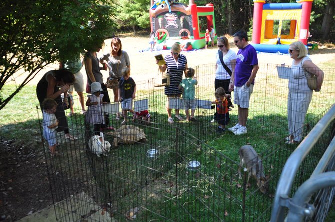 Guests at the St. Francis Country Fair explore the petting zoo Saturday, Oct. 5. 