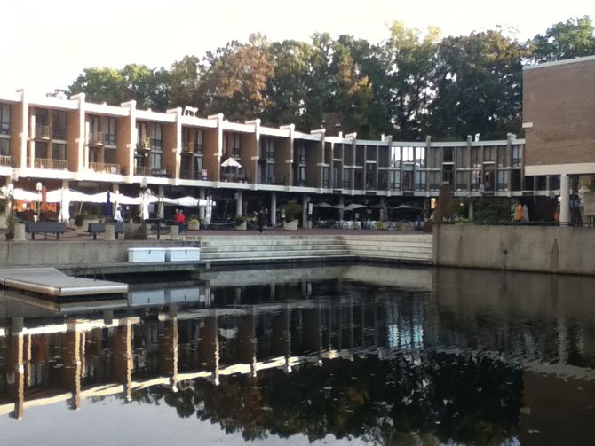 A view of the trees over Lake Anne Plaza. A proposed land swap would send the piece of land containing the trees, currently owned by the Reston Association, to a developer for part of a parking garage intended for Lake Anne redevelopment.