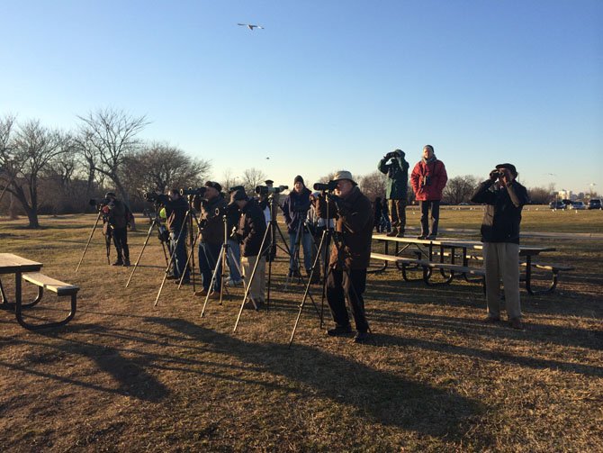 Bird watchers and photographers line up Thursday, Jan. 16, at Gravelly Point Park in Arlington waiting and hoping for a glimpse of two rare Snowy Owls that have taken up residence at Reagan National Airport.