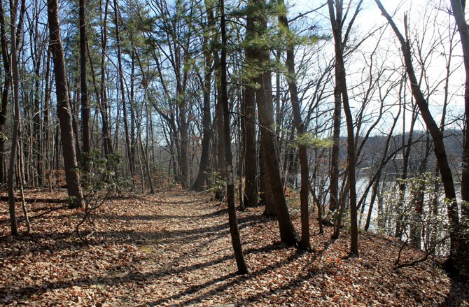 For some winter fun in the South County area, bundle up and try a trail, such as this one at Occoquan Regional Park.
