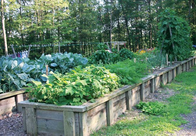 An example of raised garden boxes.