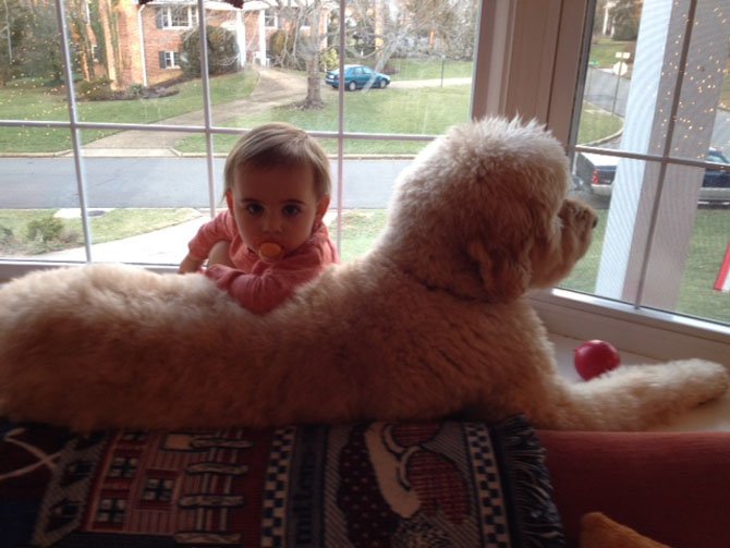 Our dog Huck (7 years old) and our daughter Leah (1 and a half years old) love to hang out together in our bay window keeping a watchful eye on all the neighborhood activities. It’s an exciting day when another dog walks by or even better a cat or a fox! They both love each other very much. — Danielle Albers 
