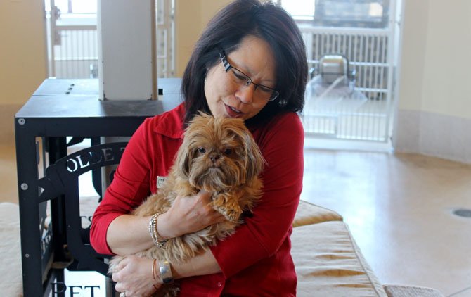 Springfield Olde Towne Pet Resort General Manager Dixie Eng holds resort guest Cocoa.