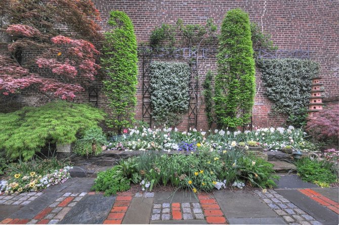 This Alexandria garden will appear on the 81st Historic Garden Week tour.