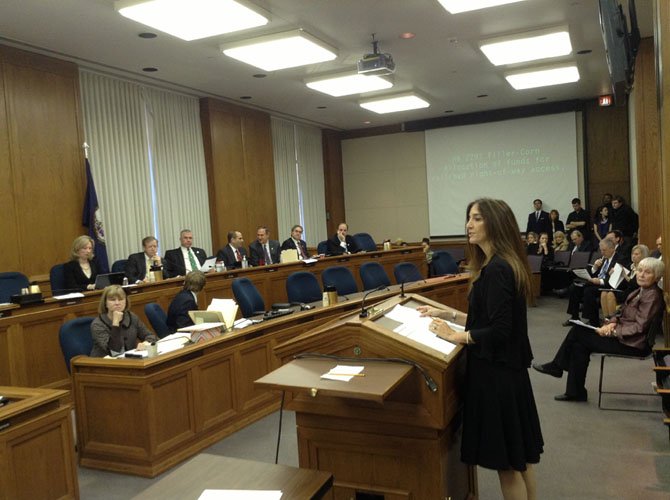 Del. Eileen Filler-Corn (D-41) speaks before a House Committee on the importance of new concussion legislation.