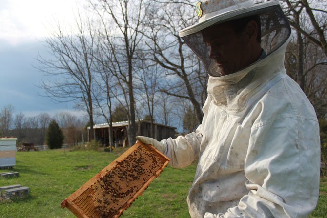  Sweet Virginia Executive Director Dan Price dons a bee suit as he investigates a hive.