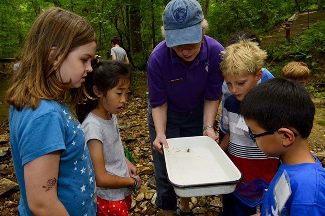 Campers at Hidden Oaks Nature Center marvel at a crayfish they netted in the creek.
