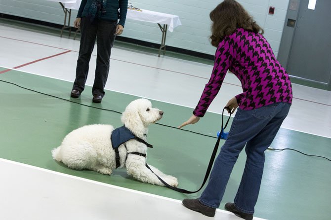 Harper, a labradoodle trained at Lakin Correctional, with Julia, 14.  “Wherever Julia needs extra supervision, companionship, responsibility or a bridge to human connection, Harper is there,” says Julia’s mother.