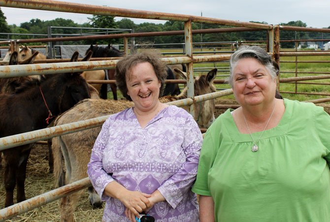 Margaret Mahoney and Peggy Thomas came out to Lorton on June 21 to check out the wild horses and burros available for adoption at Meadowood Recreation Area.
