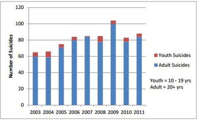 The suicide rate in Fairfax County from 2003 to 2011: 735 people died in total, the report said. CSB’s Online Youth Suicide Prevention Training is working to help adults recognize signs of psychological distress in youth to prevent suicide.
