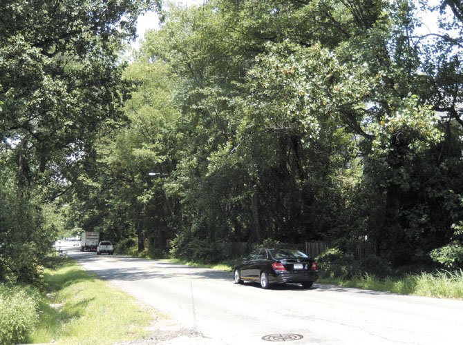 Residents say improving Follin Lane will worsen speeding, destroy the tree canopy and endanger people’s lives.