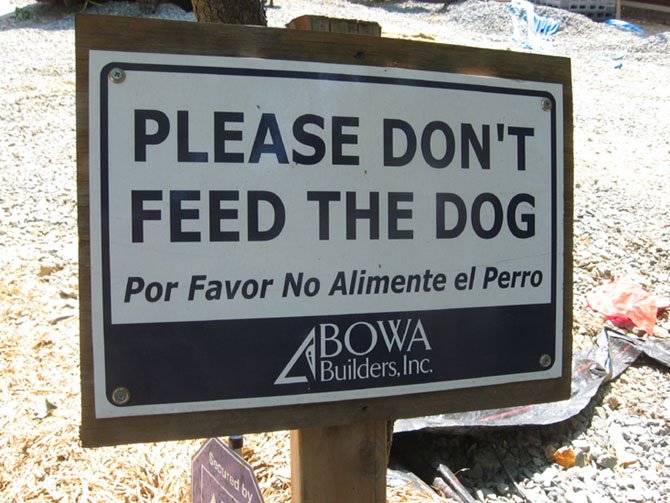 During a construction project, homeowners should keep pets away from the construction site. 